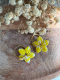 Pampilles MANEA - Jaune et blanc